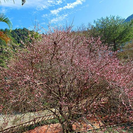 Li Jin Kuan Homestay Nanzhuang Exterior foto