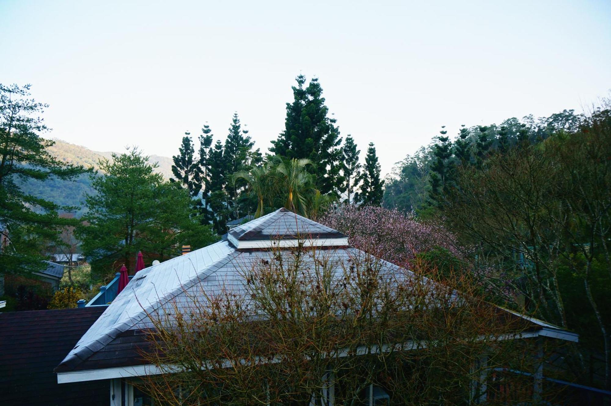 Li Jin Kuan Homestay Nanzhuang Exterior foto
